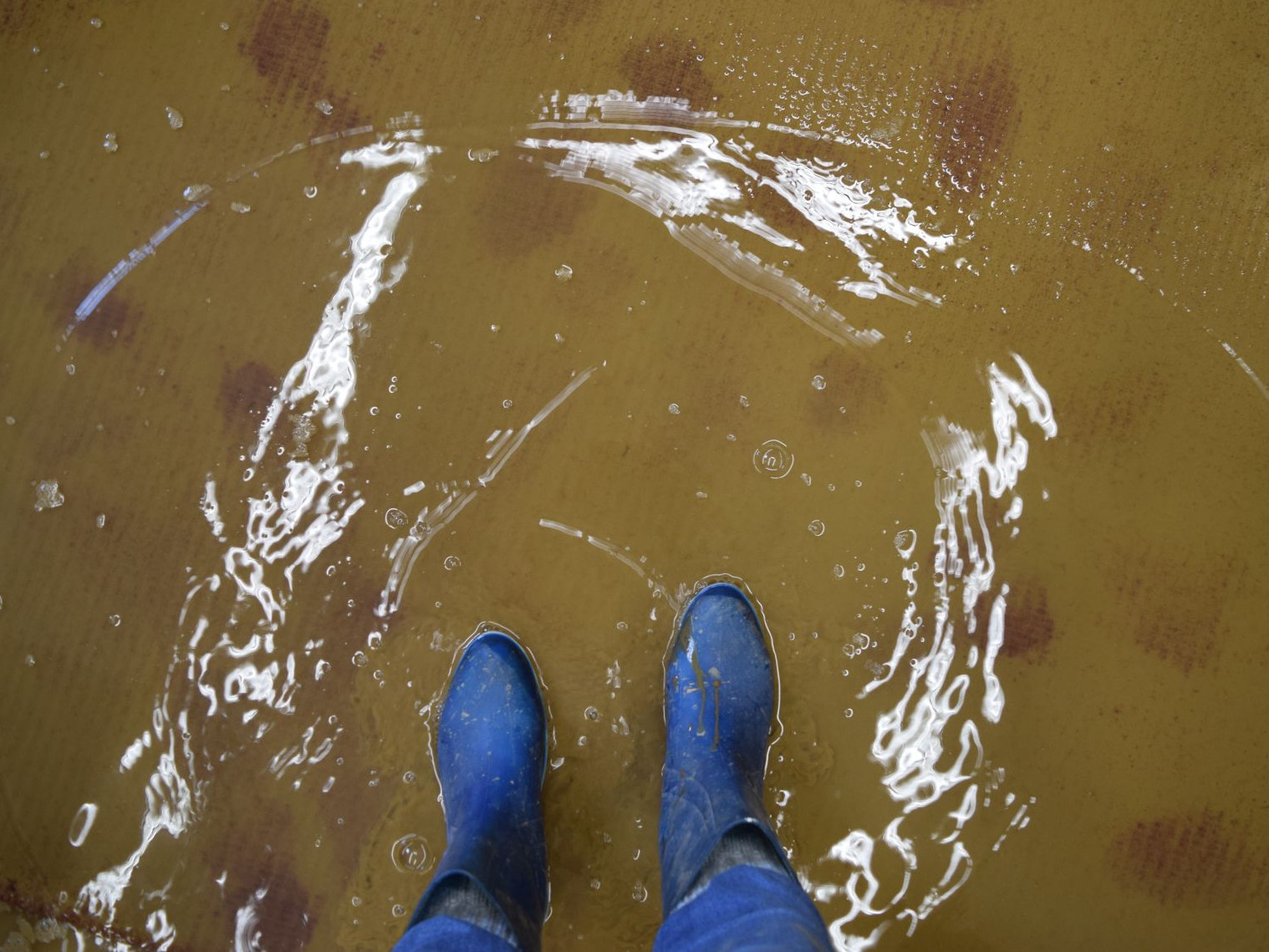 Eine Person steht mit blauen Stiefeln auf einem überfluteten Teppichboden im Wasser.