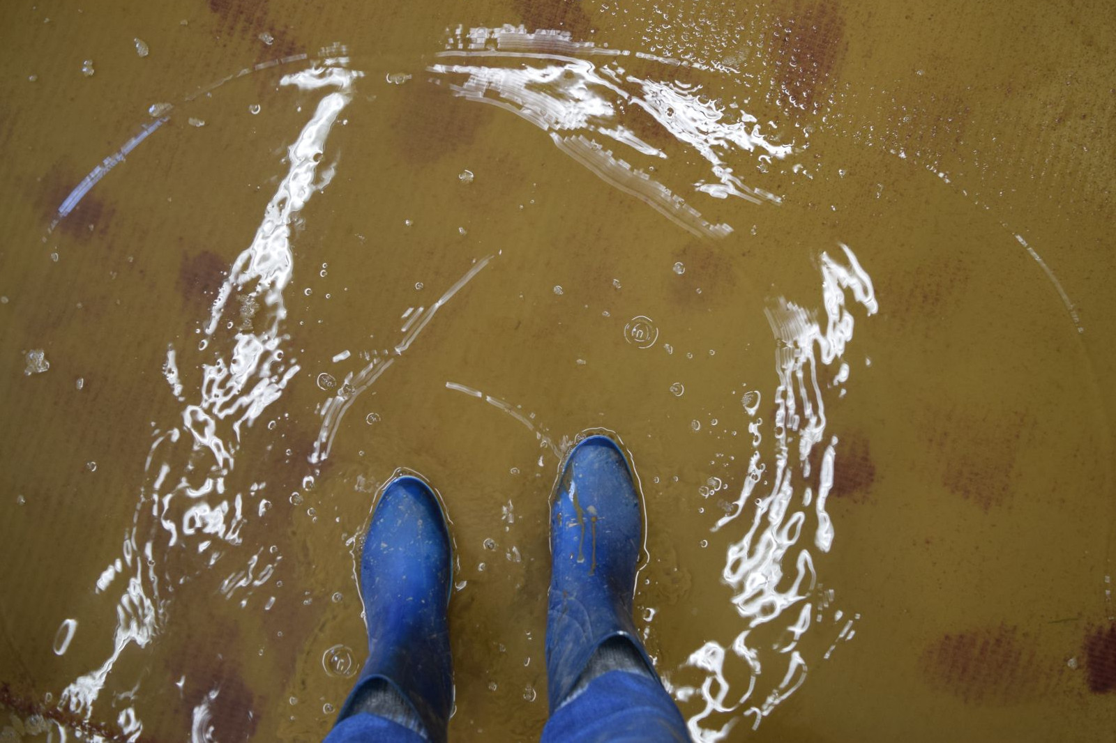 Eine Person steht mit blauen Stiefeln auf einem überfluteten Teppichboden im Wasser.