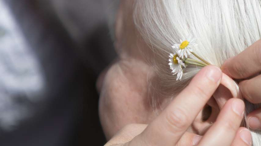 Nahaufnahme von Gänseblümchen, die jemand ins Haar einer älteren Dame steckt