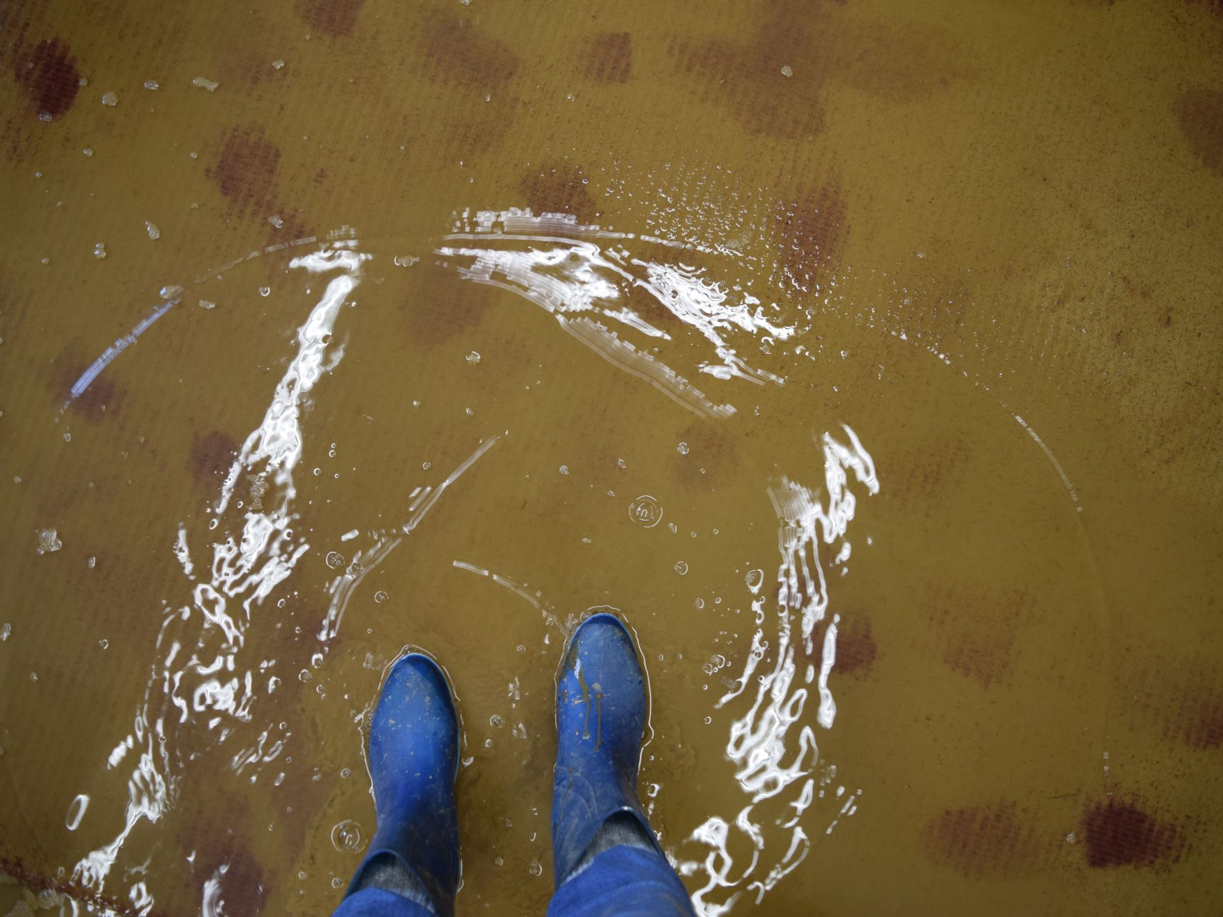 Eine Person steht mit blauen Stiefeln auf einem überfluteten Teppichboden im Wasser.